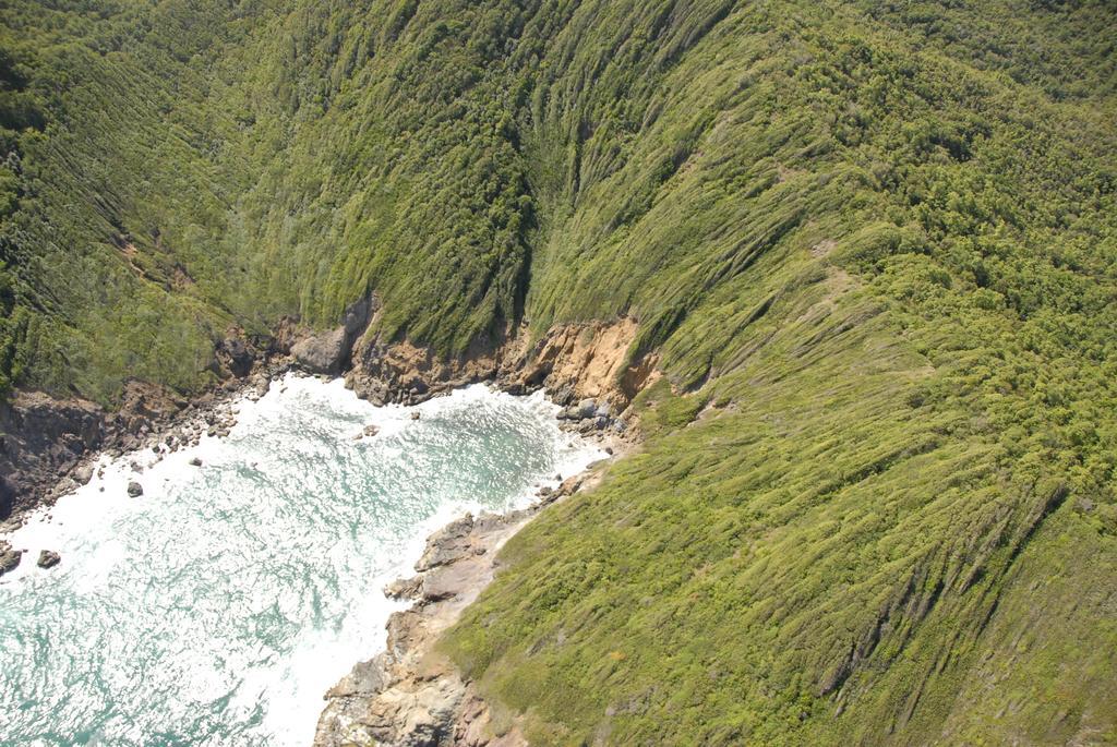 Carribbean Madicreole Au Carbet Willa Le Carbet Zewnętrze zdjęcie